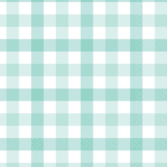 Pastel Mint Gingham Lunch Napkin FSC 16pk