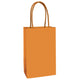 Paper Kraft Bags FSC 8pk