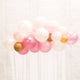 Botanical Celebration Pink Balloon Garland Backdrop Kit