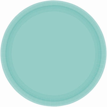 Robin's Egg Blue NPC Round Paper Plates 17cm 20pk