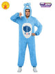 Adult's Costume - Carebears Grumpy Bear