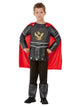 Boys Costume - Knight Deluxe Costume